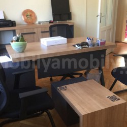 Frau Taksim Büromöbel Tulpen