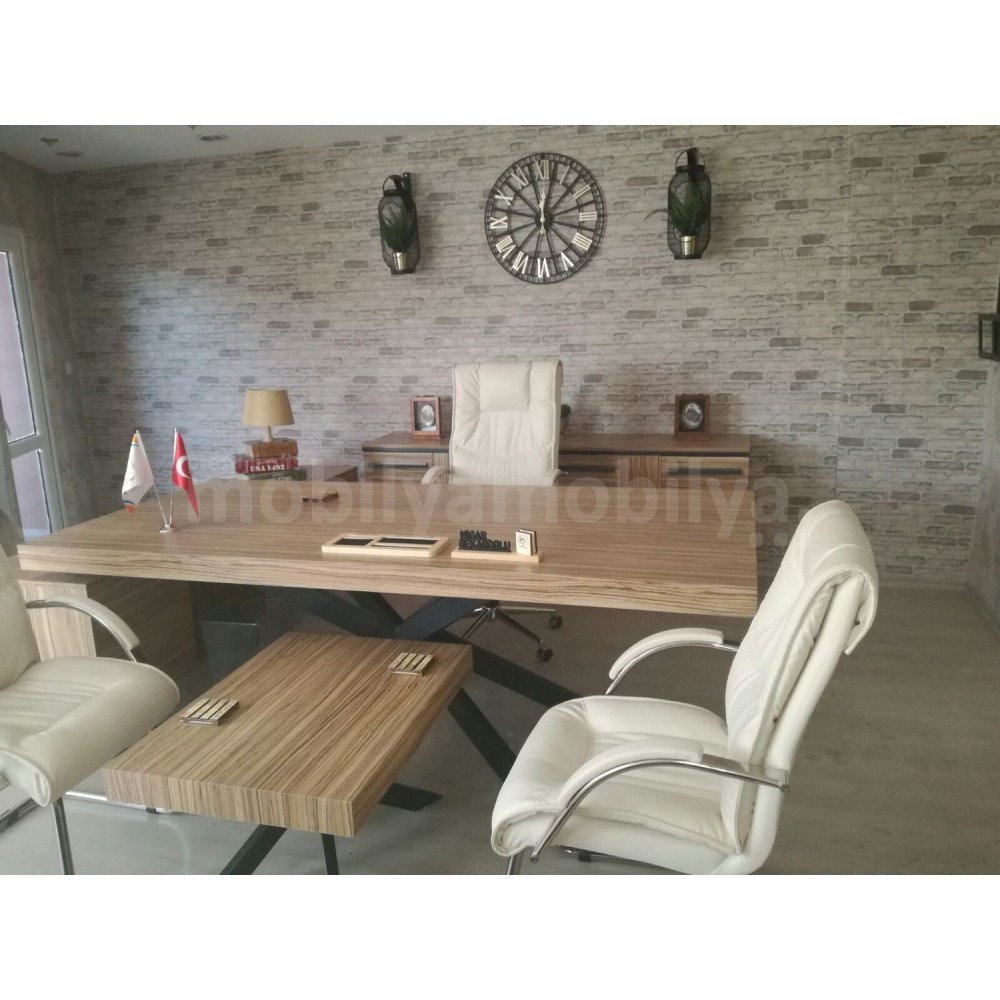 Mugla Büro Executive Office