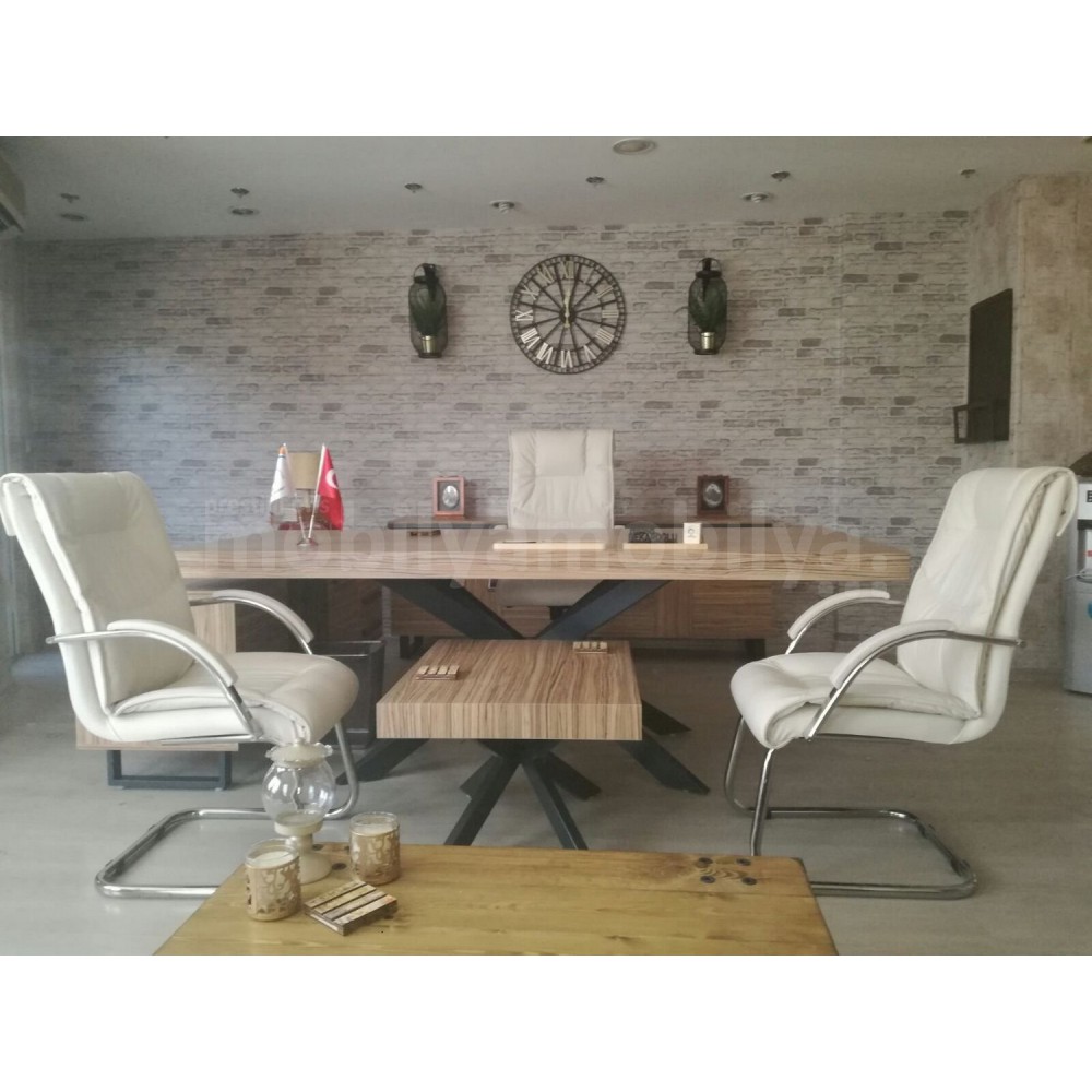 Mugla Büro Executive Office