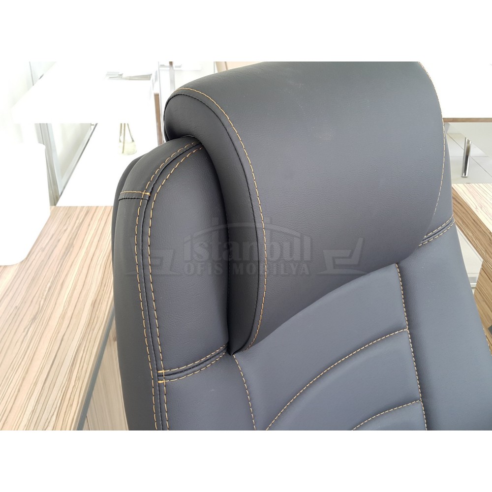 民主党执行主席木