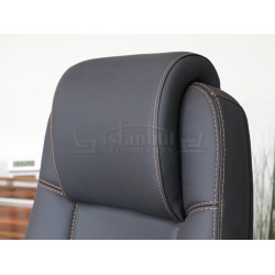 民主党执行主席木