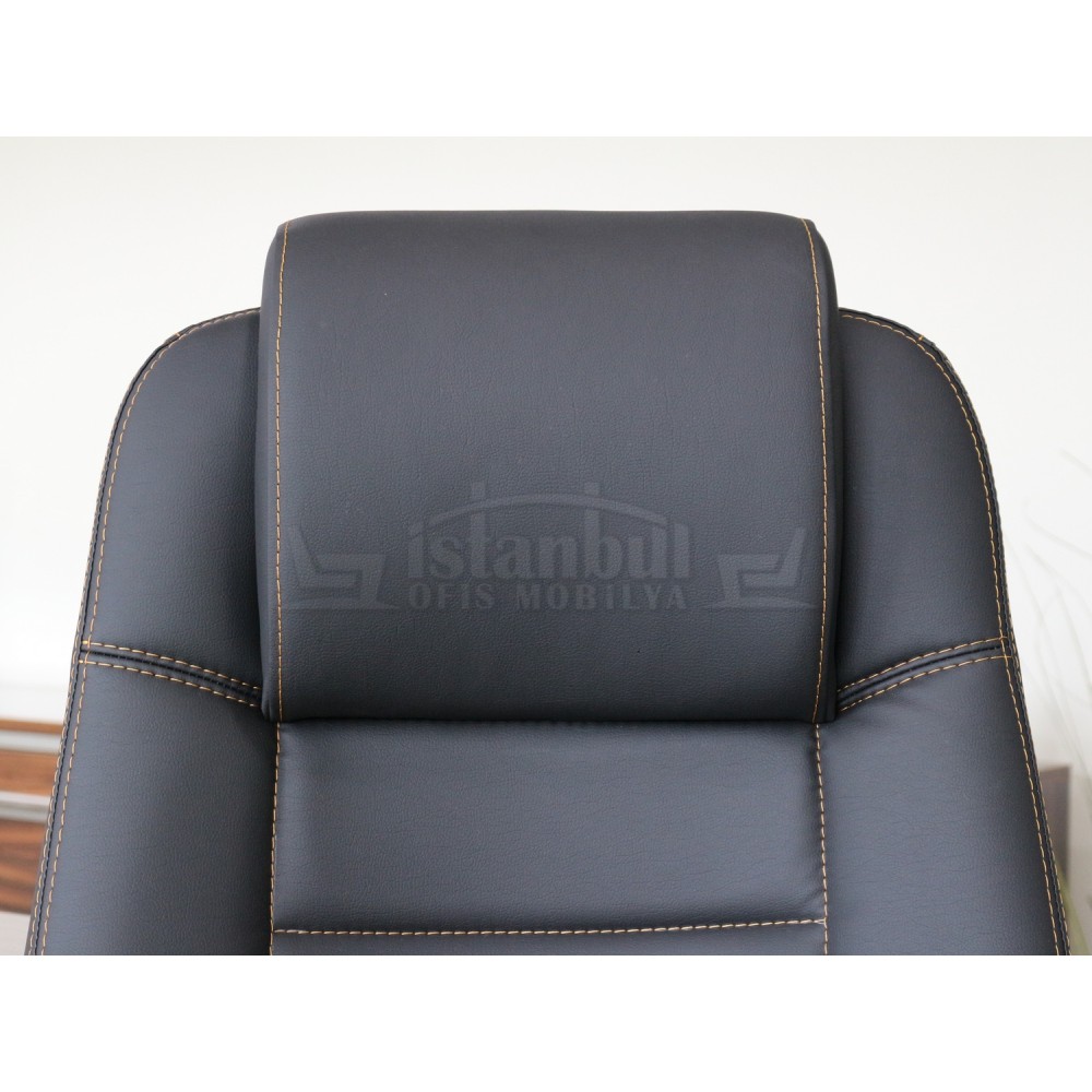 民主党执行主席木