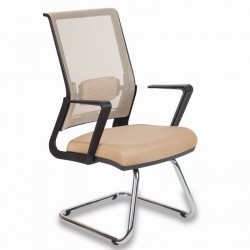 Liu Niemand Retro Guest Chair