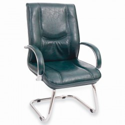 Mathieu Guest Chair
