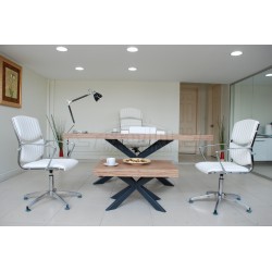 Lexus 220-100 Samba Anthrazit Desk Authority