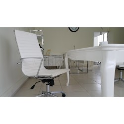 Ayle Müdür Koltuğu