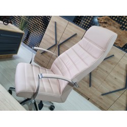 Lexus Executive Office-Team