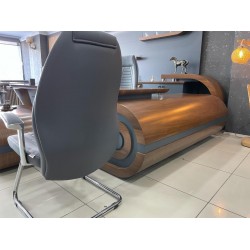 Schwedisches Vıp-Führungsteam