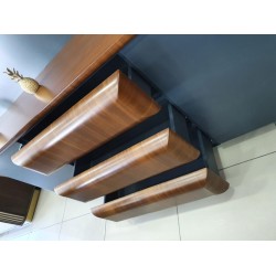 Schwedisches Vıp-Führungsteam