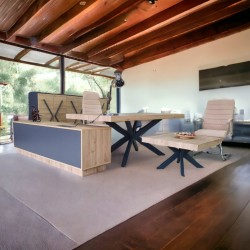 Lexus Executive Office-Team