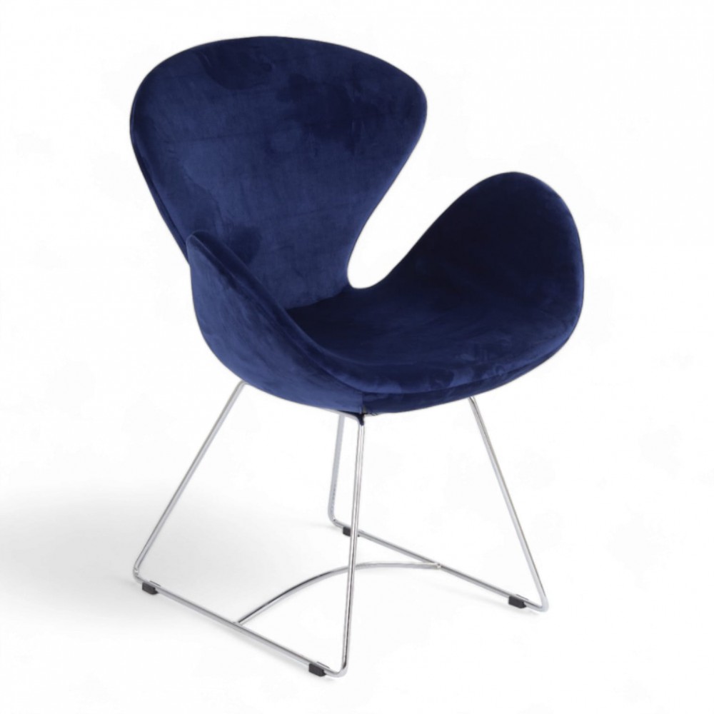 Bardi Misafir Trans Ayak