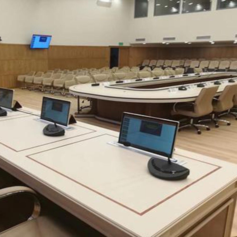 Bll 17.3 Motorisierter Monitorlift