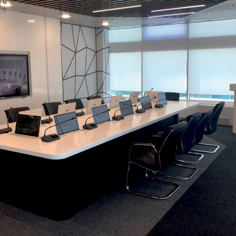 Bll17.3 Motorisierter Monitorlift