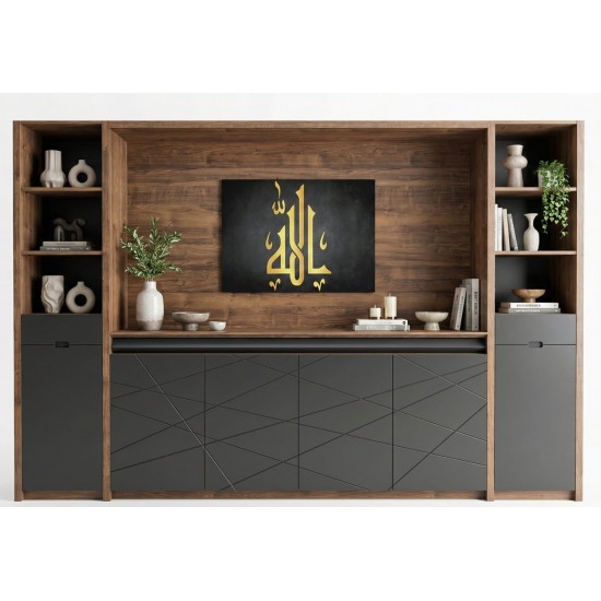 Schrank Mit Signatureinheit