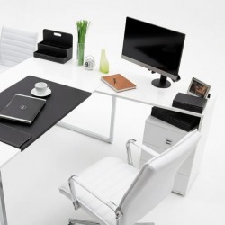 Лінда Стіл Team New Zealand