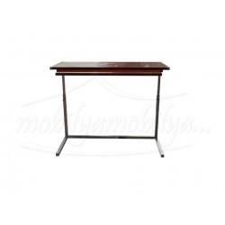 Profosyonel Laptop Çalışma Masası