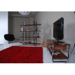 وحدة التلفزيون فيرونا