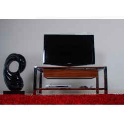 وحدة التلفزيون فيرونا