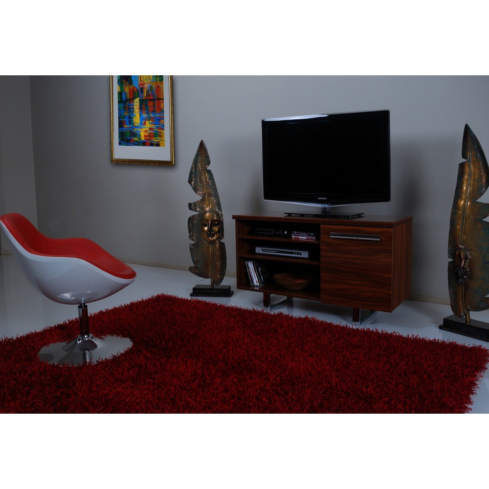 بيترا تلفزيون مجلس الوزراء