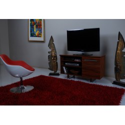 بيترا تلفزيون مجلس الوزراء