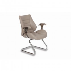 Fiel Guest Chair