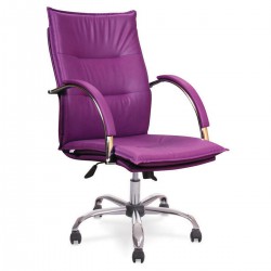 Barbato-Administrator-Sitz