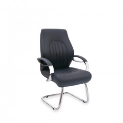 Zeus Guest Chair
