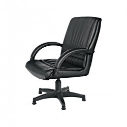Mapp Guest Chair Sterne