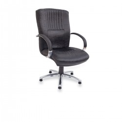 Lara Guest Chair Sterne
