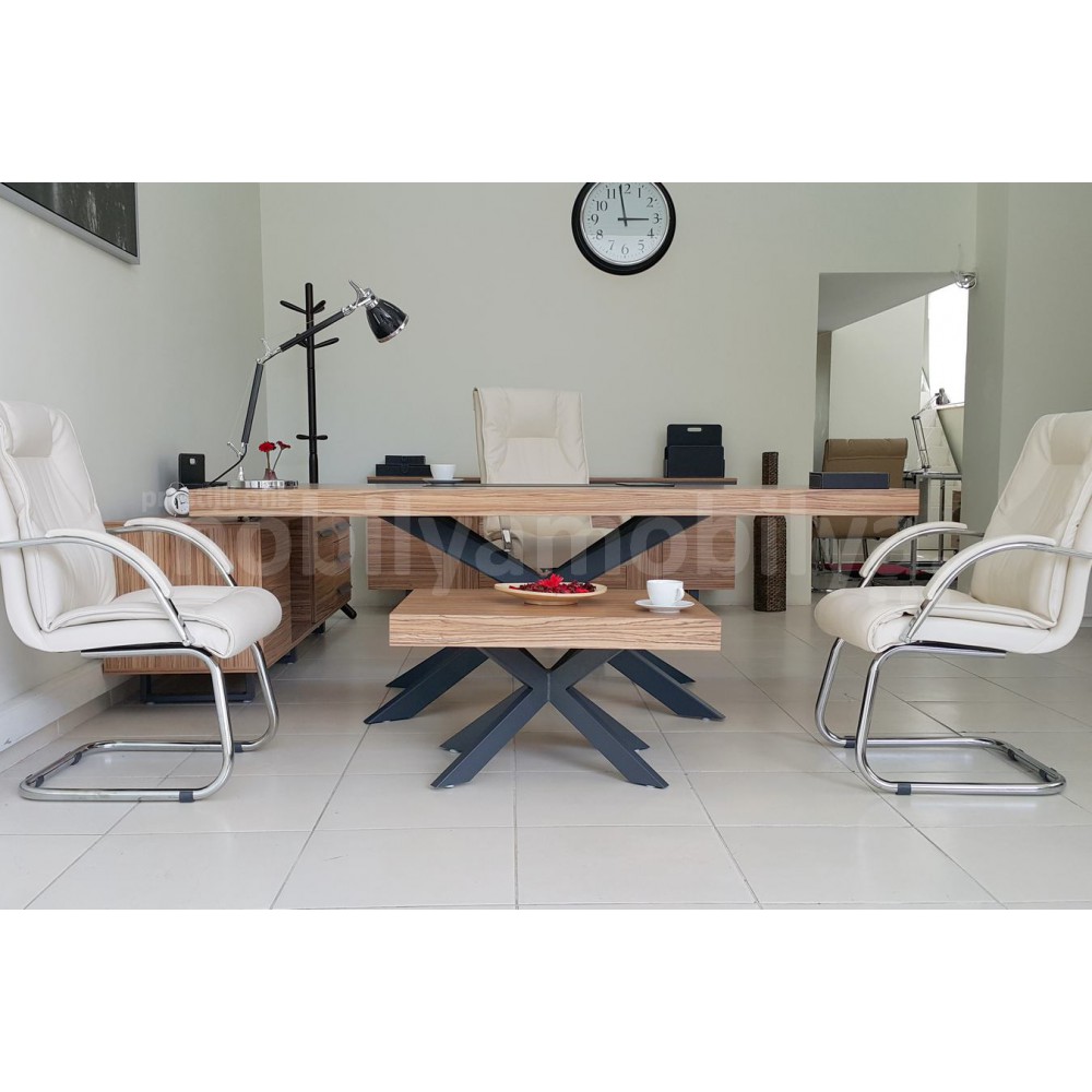 Lexus Executive Office-Team