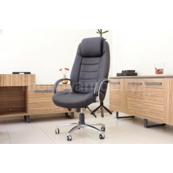 Lexus Executive Office-Team